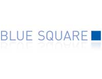 Logo Blue Squares France